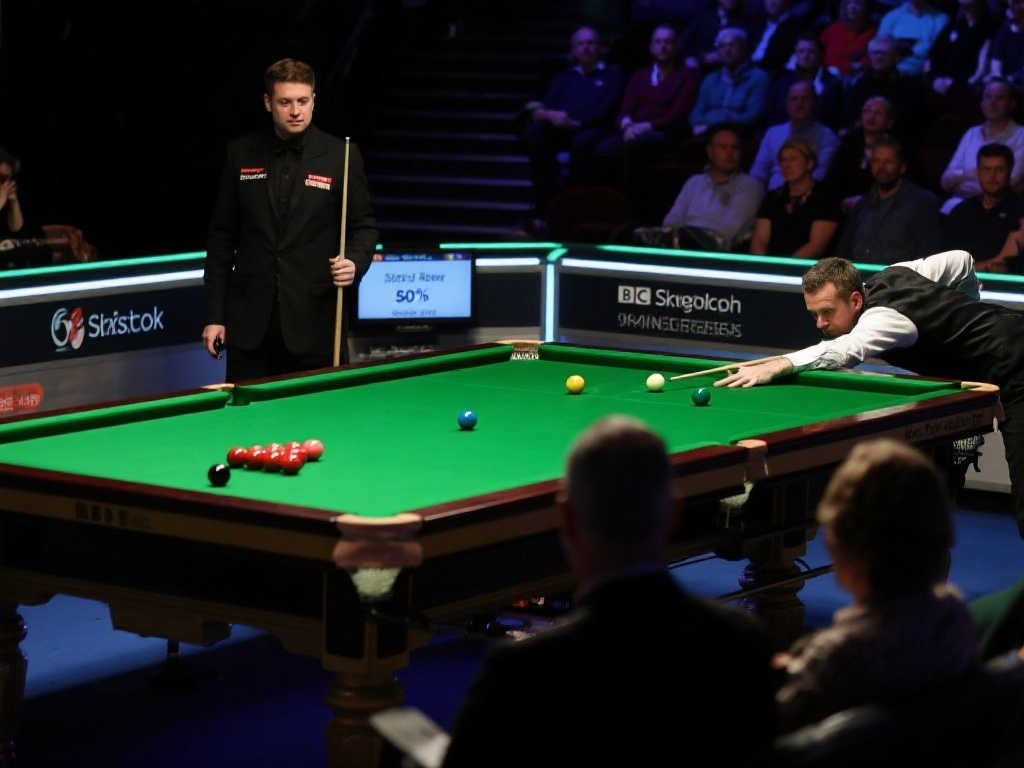 这个标题不 这个标题不